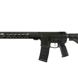 RECON Elite Blackout AR-15 / M4 Rifle